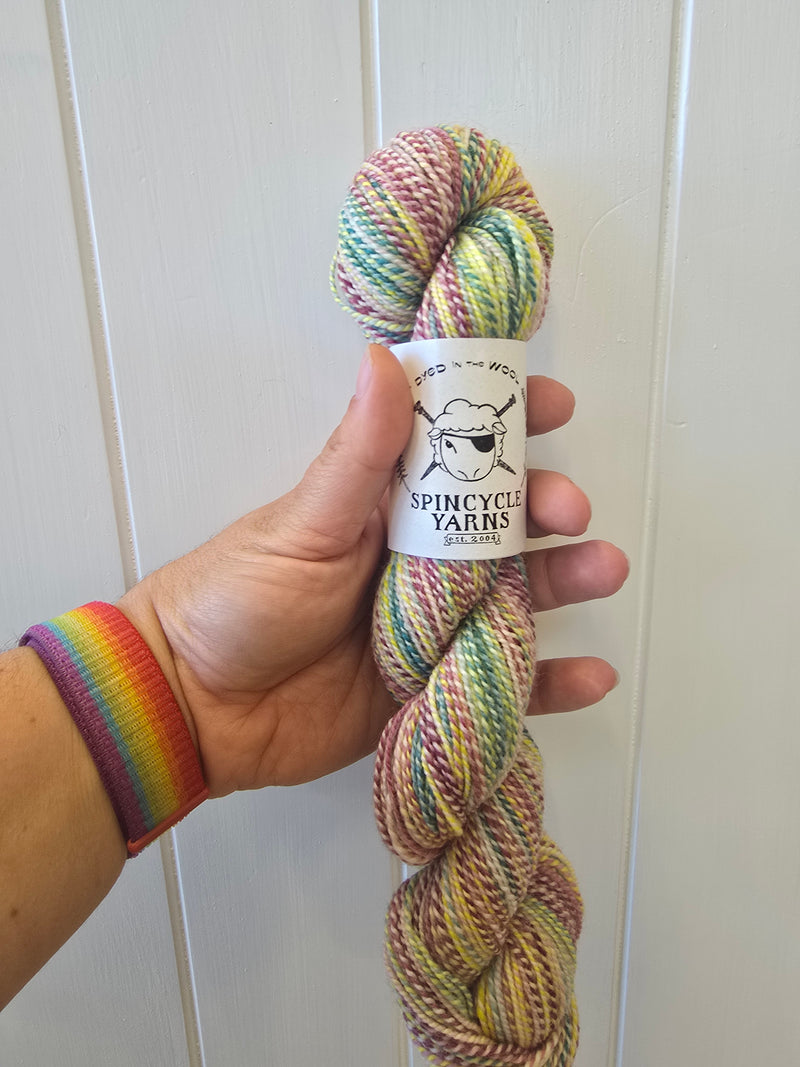 Spincycle Yarns Dyed in the Wool - Re-loved