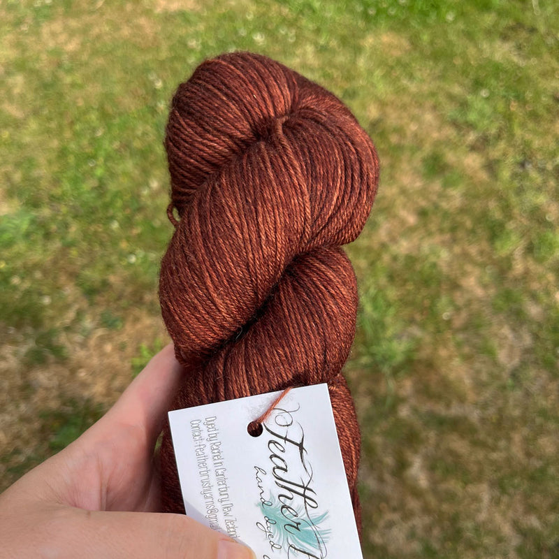 Featherbrush Yarns MCN Fingering- Re-loved
