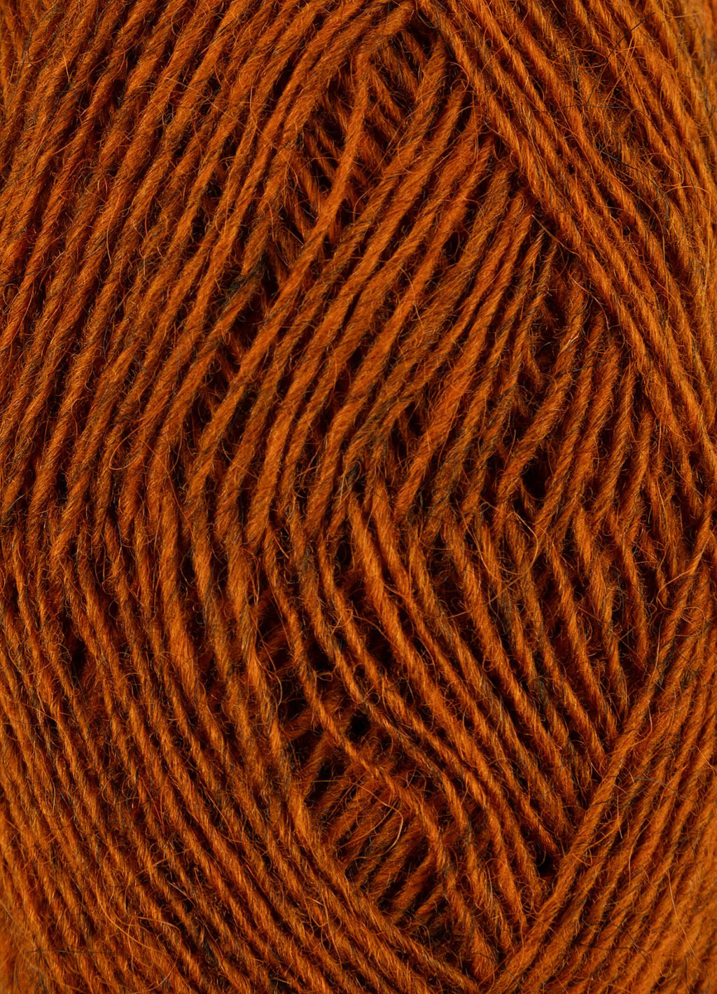 Istex fjallalopi 3042 - Ginger