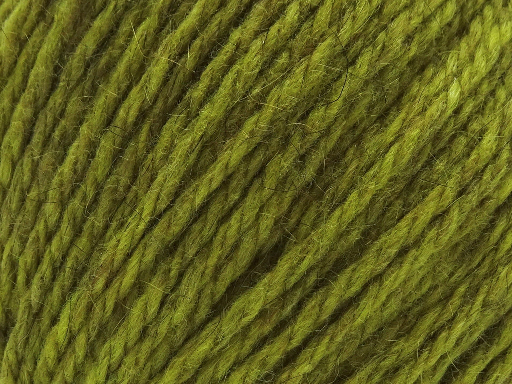 Kauri Worsted K02 - Kea