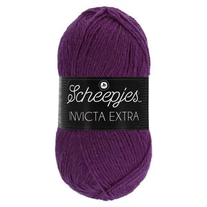 Scheepjes Invicta Extra - Re-loved