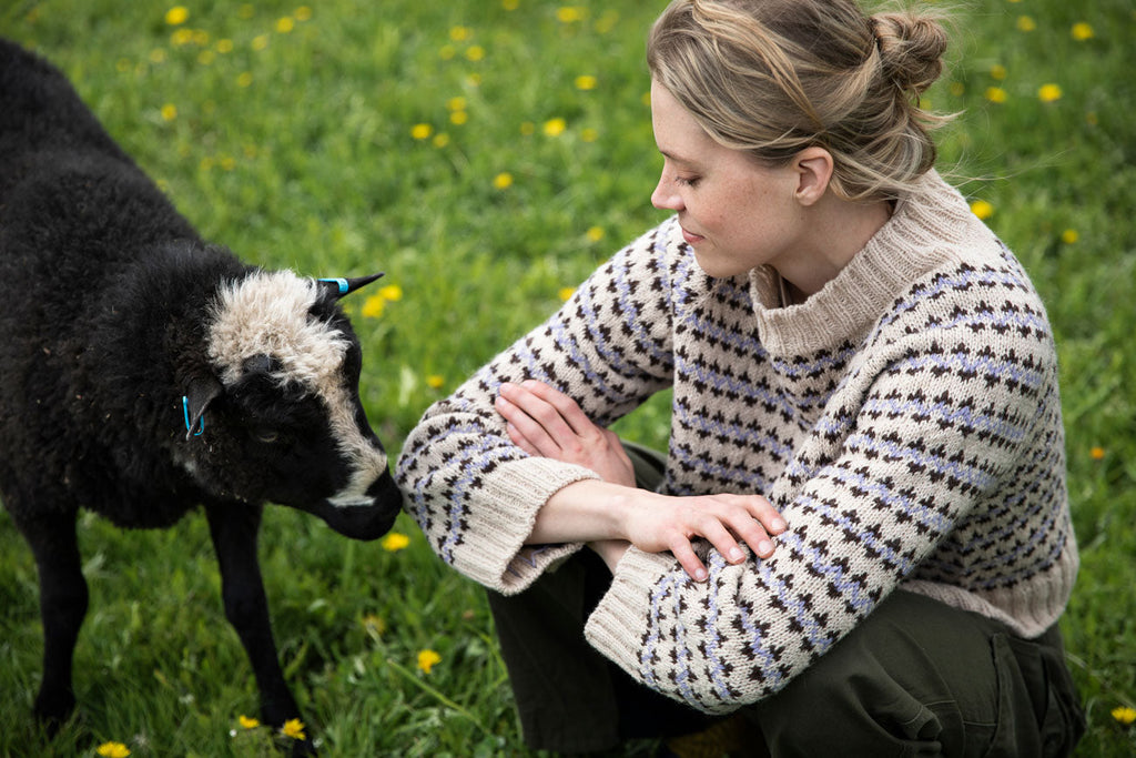 Woman in a patterned sweater interacting with a black sheep in a grassy field.