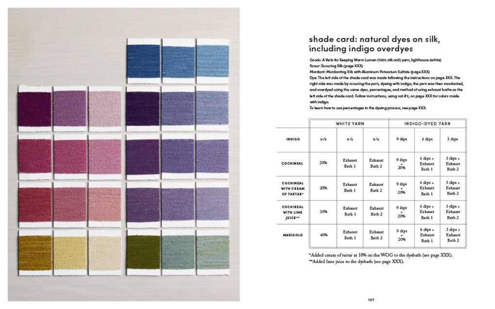 Journeys in Natural Dyeing - Kristine Vejar and Adrienne Rodriguez
